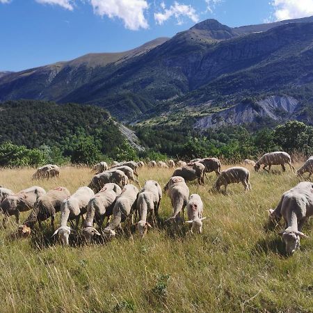 La Peyregoune, Logement En Pleine Nature Et Table D'Hotes Blieux Exteriör bild