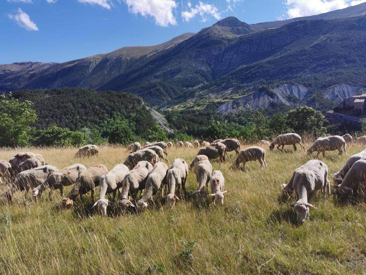 La Peyregoune, Logement En Pleine Nature Et Table D'Hotes Blieux Exteriör bild